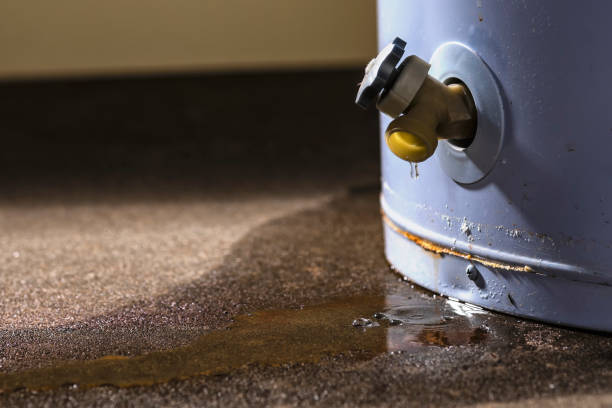 Best 24-hour water damage restoration  in Del Rey, CA