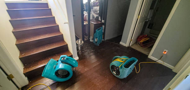 Best 24/7 water damage repair  in Del Rey, CA