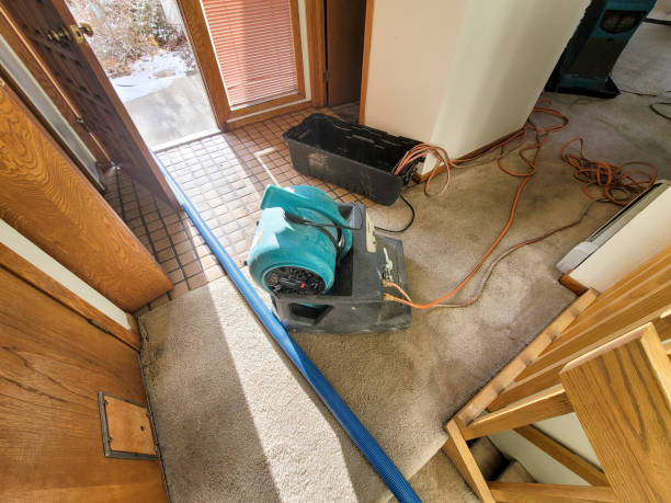 Best Water damage contractors near me  in Del Rey, CA